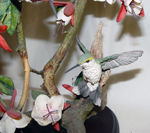 Picture of Colibri - Tropical paradise